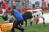 Photo 16 - Feria Popuelles