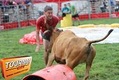 Photo 28 - Feria Popuelles