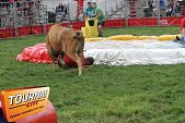 Photo 30 - Feria Popuelles