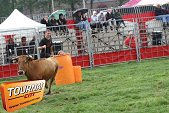 Photo 31 - Feria Popuelles