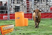 Photo 35 - Feria Popuelles