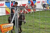 Photo 43 - Feria Popuelles
