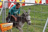 Photo 45 - Feria Popuelles