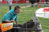 Photo 46 - Feria Popuelles
