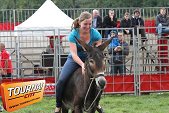 Photo 61 - Feria Popuelles