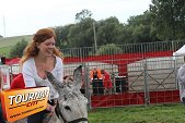 Photo 63 - Feria Popuelles