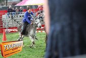 Photo 66 - Feria Popuelles