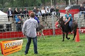Photo 67 - Feria Popuelles
