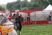 Photo 70 - Feria Popuelles