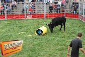 Photo 83 - Feria Popuelles