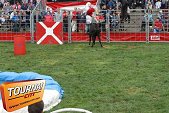Photo 86 - Feria Popuelles