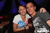 Photo 71 - FRENCH INVASION