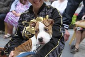 Photo 3 - Fête nationale