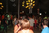 Photo 173 - Bush party