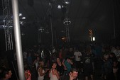 Photo 200 - Bush party