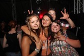 Photo 310 - Bush party