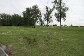 Photo 7 - Descente de la Leffe
