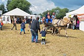 Photo 26 -  Fête de la moisson à l'ancienne
