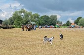 Photo 30 -  Fête de la moisson à l'ancienne