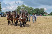 Photo 32 -  Fête de la moisson à l'ancienne