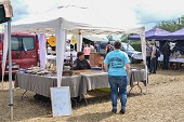 Photo 43 -  Fête de la moisson à l'ancienne