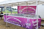 Photo 60 -  Fête de la moisson à l'ancienne