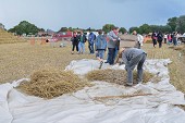 Photo 64 -  Fête de la moisson à l'ancienne
