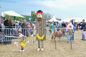 Photo 79 -  Fête de la moisson à l'ancienne