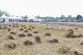 Photo 128 -  Fête de la moisson à l'ancienne