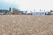Photo 130 -  Fête de la moisson à l'ancienne