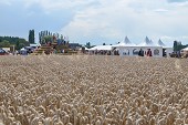 Photo 131 -  Fête de la moisson à l'ancienne