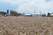 Photo 132 -  Fête de la moisson à l'ancienne
