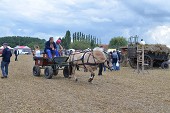 Photo 138 -  Fête de la moisson à l'ancienne