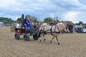 Photo 139 -  Fête de la moisson à l'ancienne