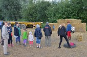 Photo 162 -  Fête de la moisson à l'ancienne