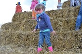 Photo 170 -  Fête de la moisson à l'ancienne