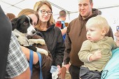 Photo 183 -  Fête de la moisson à l'ancienne