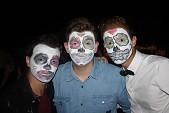 Photo 401 - Pulse on Tour 2-2