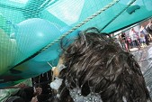 Photo 408 - Course de lits