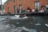 Photo 503 - Course de lits