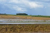 Photo 851 - Esplechin dimanche