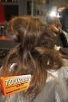 Photo 593 - Election de miss Tournai 3-3