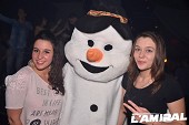 Photo 219 - ICE BAR