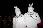 Photo 338 - So W'happy festival 2-2
