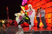Photo 217 - So W'happy festival