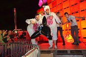 Photo 219 - So W'happy festival