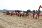 Photo 363 - Gymkhana de Molenbaix samedi 1-2