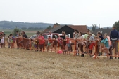 Photo 364 - Gymkhana de Molenbaix samedi 1-2