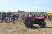 Photo 53 - Gymkhana de Molenbaix dimanche