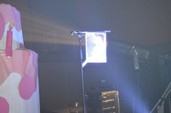 Photo 32 - Carnavo